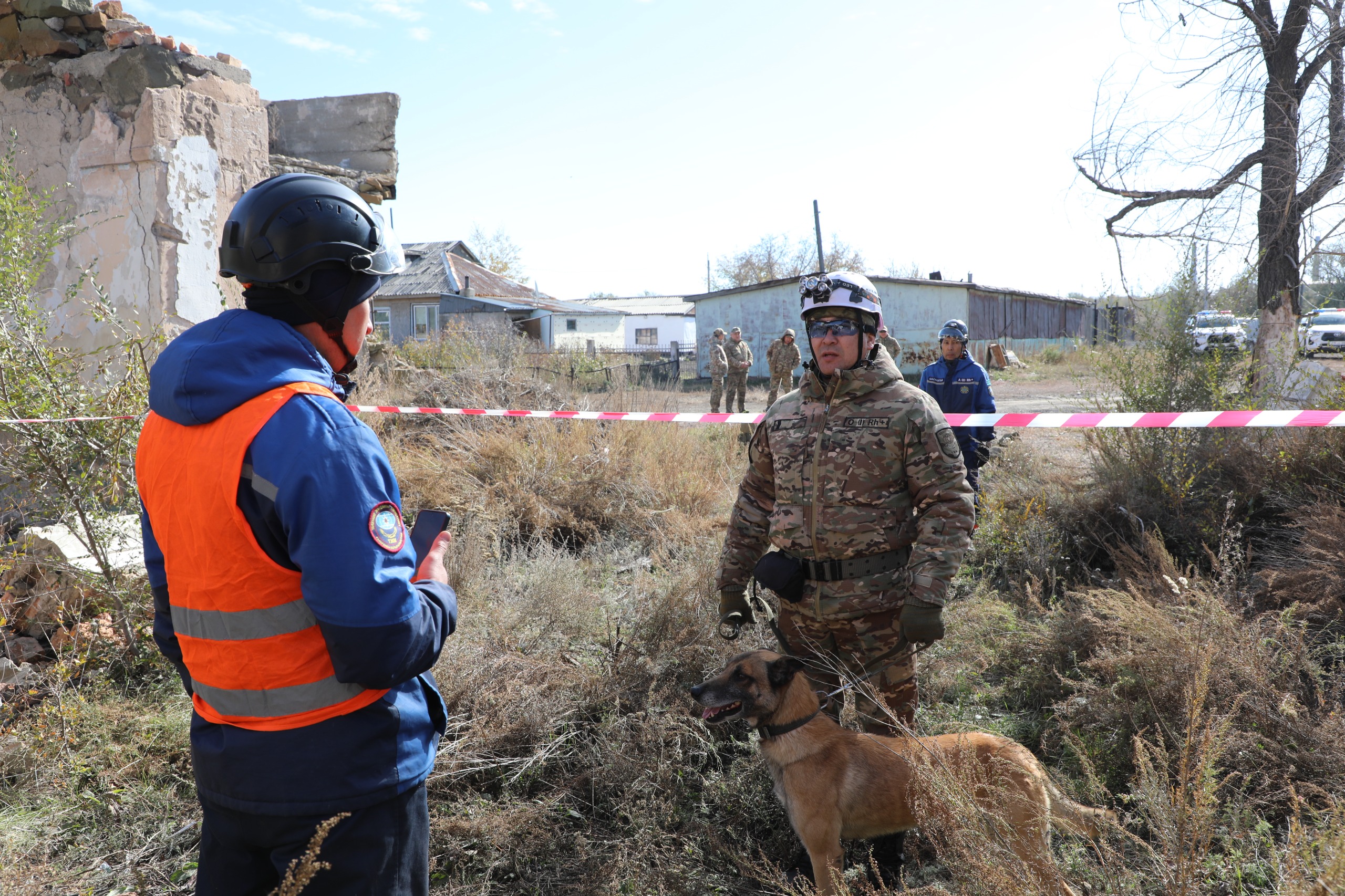 Оценка готовности кинологических расчётов: собаки-спасатели МЧС прошли аттестацию (2)