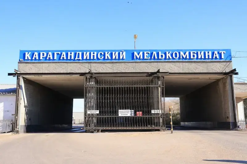 В Карагандинской области при поддержке государства увеличили производство растительного масла (10)