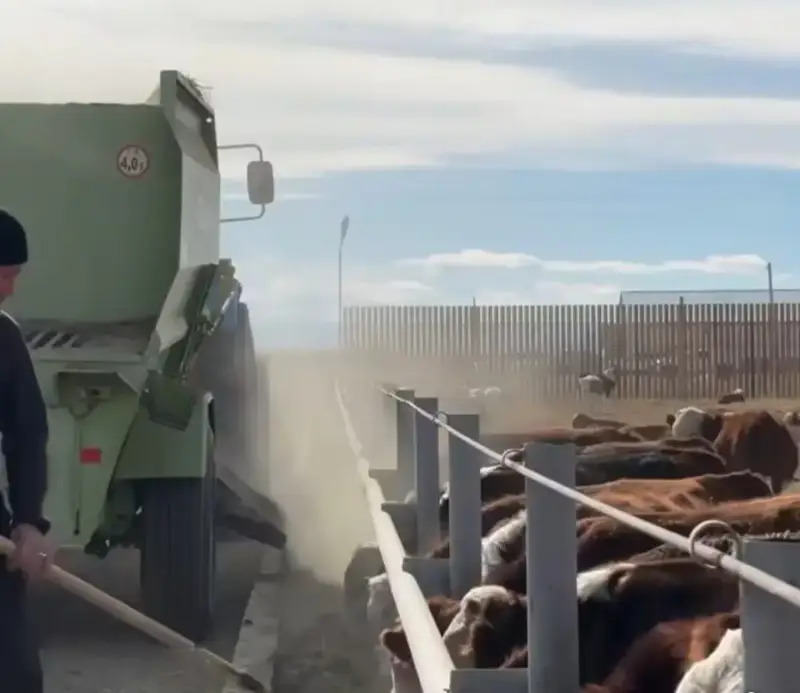 В Аксуатском районе запускается «мясной мотор» для развития сельского хозяйства Астане