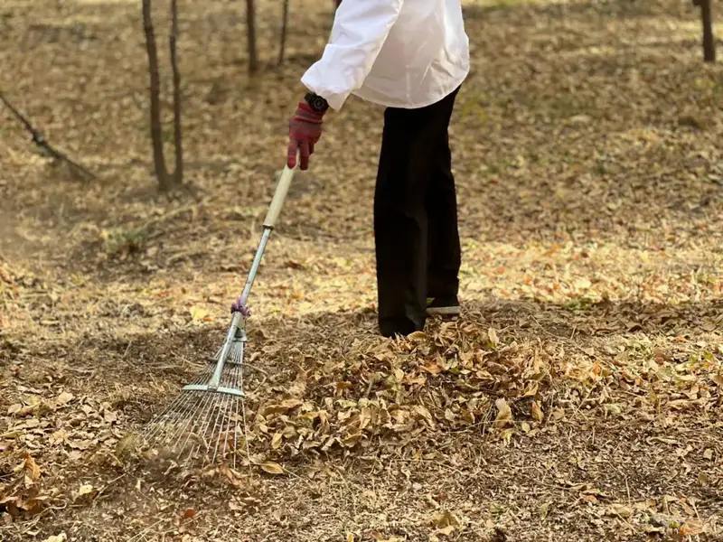 «Таза Қазақстан»: жители Шымкента и школьники приняли активное участие в экологических мероприятиях (3)