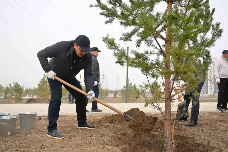 В области Абай высажено 5 тысяч саженцев деревьев (3)