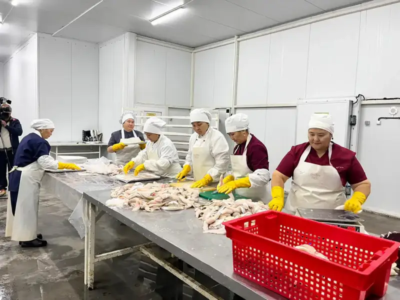 Рыбоперерабатывающий завод «Қарашалаң балық» запустили в Кызылординской области (2)