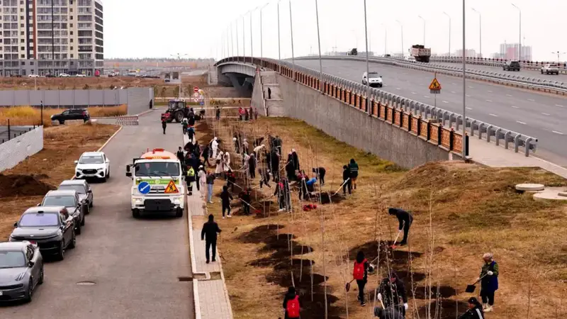 В столичном районе Сарайшык высажено 500 деревьев (4)