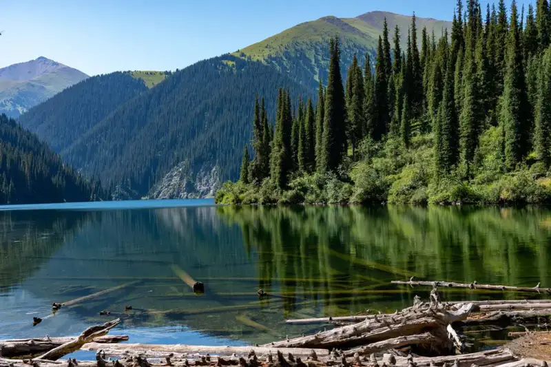 Минэкологии прокомментировало купание П. Дурова в озере Кольсай-2 Астане