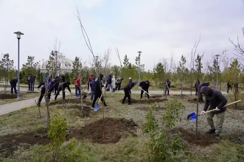 Более 300 деревьев высадили в столичном парке "Коктал" (10)