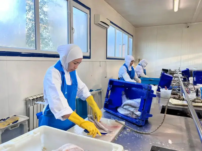 Рыбоперерабатывающий завод «Қарашалаң балық» запустили в Кызылординской области (3)
