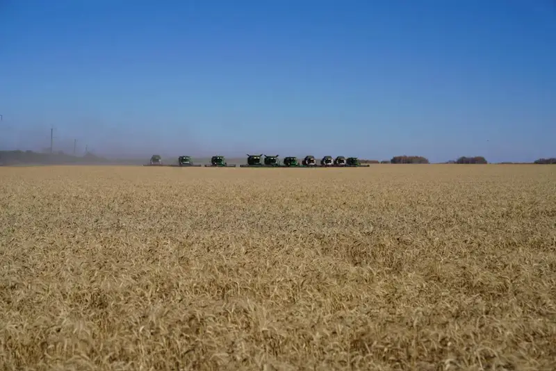 Мегаферма на 8000 голов строится в Северо-Казахстанской области (5)