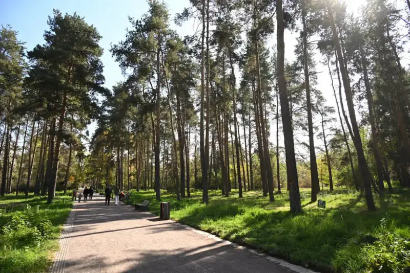 Обновление зелёной зоны в Алмалинском районе Астане