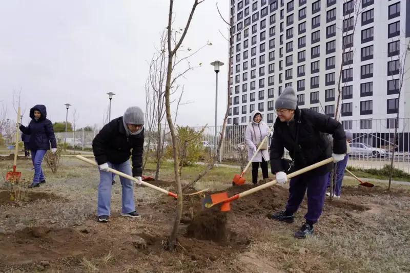Более 300 деревьев высадили в столичном парке "Коктал" (6)
