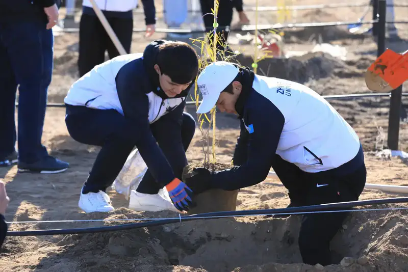 В Актобе впервые высадили реликтовое дерево турангу, приспособленное к засушливому климату (2)