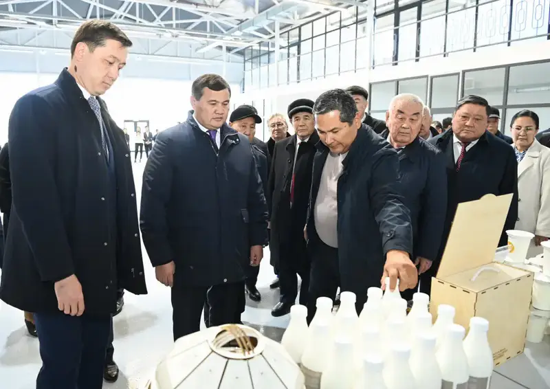 Открытие малой промышленной зоны «Тұмар» в Кызылорде: новые рабочие места и перспективы для местной экономики Астане