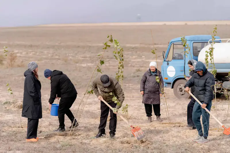 Активное участие местных жителей в высадке деревьев в области Абай: 15 тысяч участников и 300 гектаров очищенной земли Астане