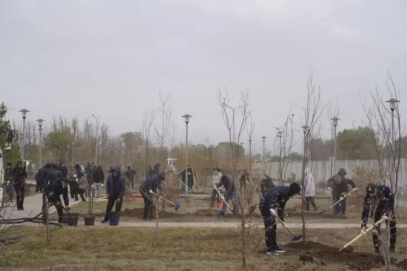 Более 300 деревьев высадили в столичном парке "Коктал" (7)