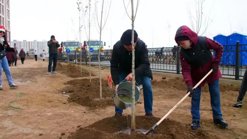 В столичном районе Сарайшык высажено 500 деревьев (10)
