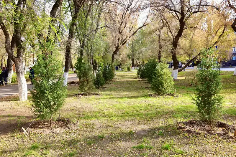 Общенациональный субботник «Таза Қазақстан»: в Карагандинской области высадили 10 тысяч деревьев (10)