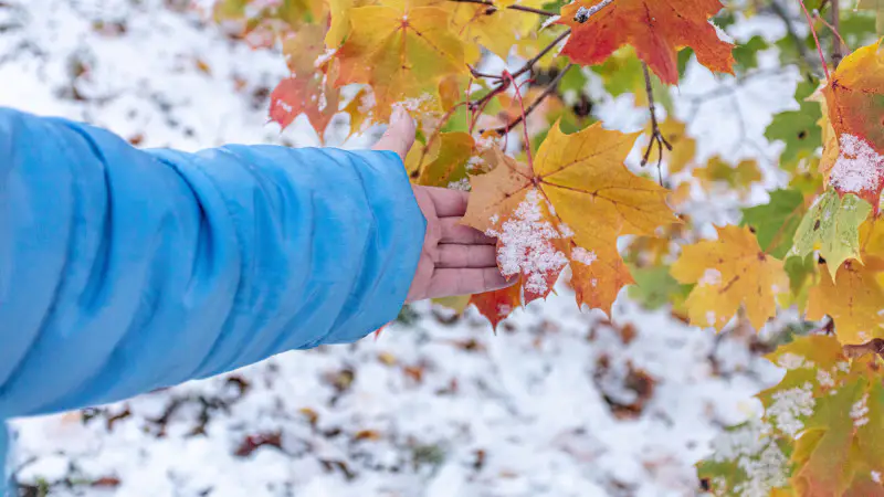 Холод спустится: Казахстан готовится к выхолаживанию Астане
