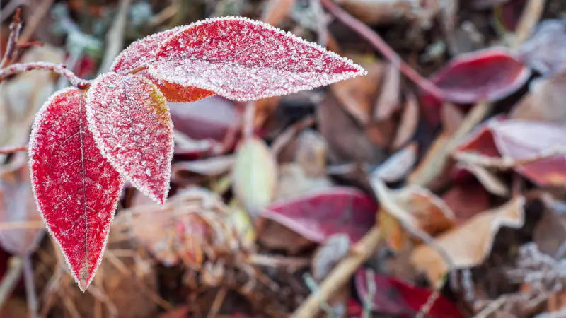 Казахстан: морозы до 13°C и ясное небо в октябре Астане