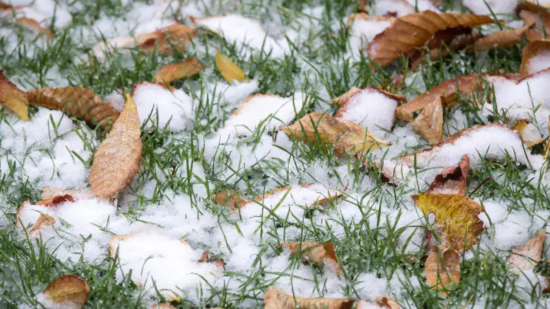 Прогноз погоды в Казахстане: юг до +22, север со снегом и морозом 3 октября Астане