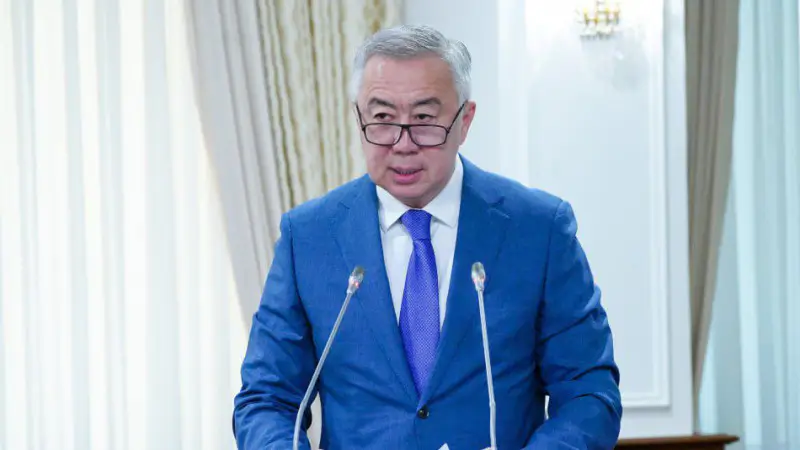 Вице-премьер о налоговой реформе: антикризисные меры не означают ее неэффективность Астане