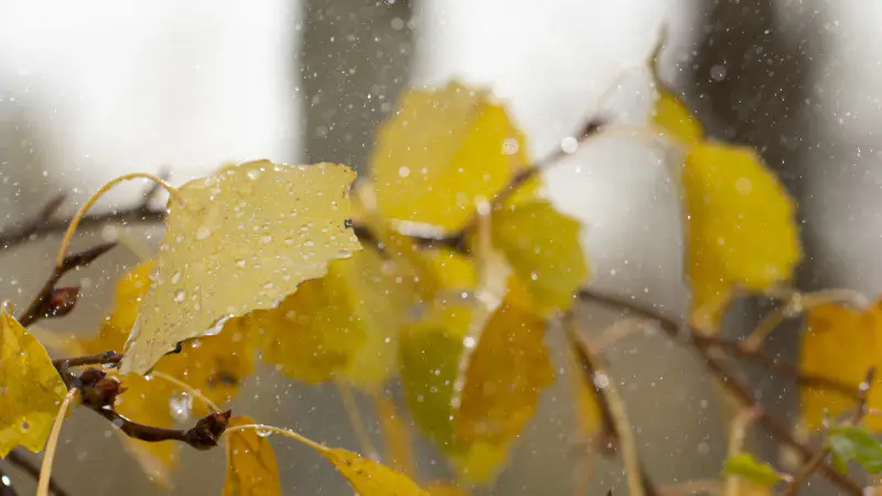 Казахстан: Осень в каплях дождя и снежных хлопьях Астане
