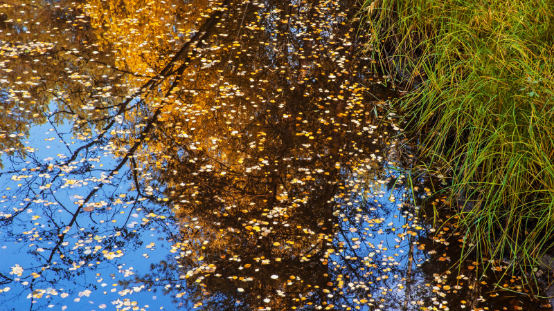 Казахстан: от холода к теплу — где ждать перемен? Астане