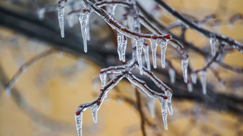 Казахстан: резкие перепады погоды — дожди и заморозки сменяются ясными днями Астане
