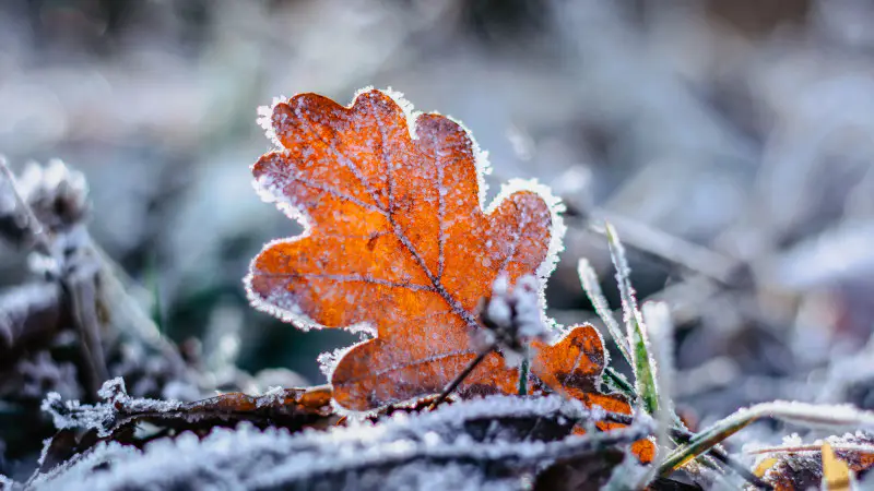 Казахстан: от зимних объятий севера до летнего поцелуя юга – прогноз погоды на 14 октября Астане