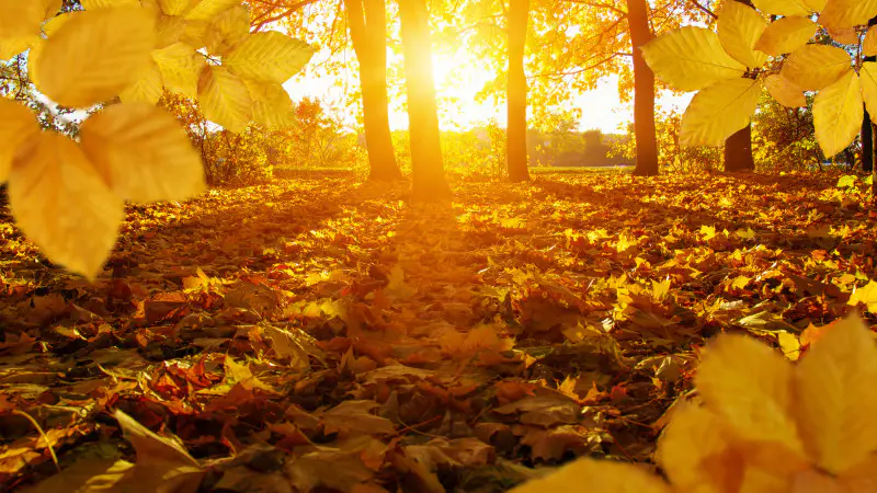 Казахстан: Дневное тепло и ночные морозы — погода как игра контрастов на сцене октября Астане