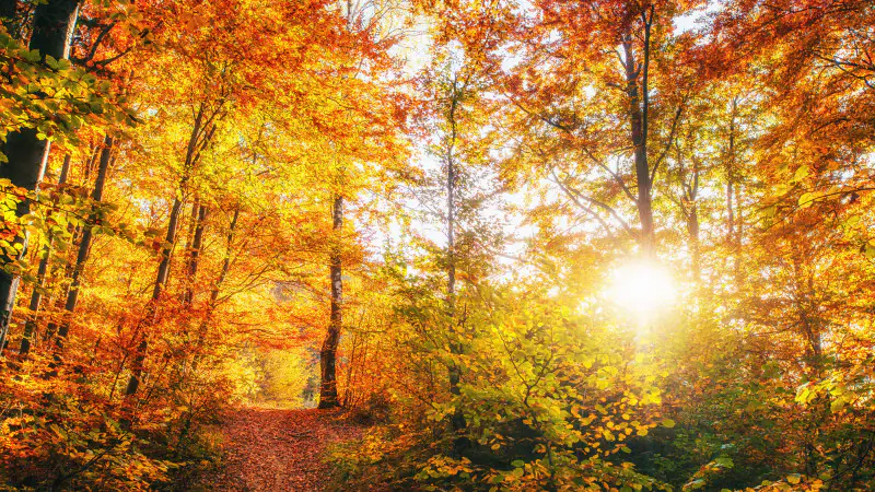 Казахстан: Тепло до +28°C вернётся в пятницу! Астане