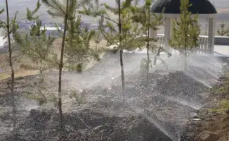 Экологическая ответственность: более 3000 жителей Казыгурта активно участвуют в субботнике