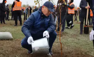 В Экибастузе высажено более 300 деревьев в рамках акции 'Таза Қазақстан'