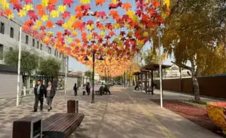 Алматы: Жетысуский район расцвел к Дню Республики с новыми пешеходными оазисами