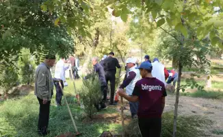 Субботник по благоустройству и очистке территорий в Сарыагаше