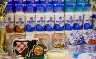 Восточный Казахстан: производство молока увеличилось на 13%