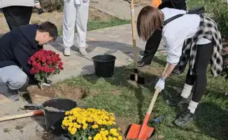 Алматинские школьники сажают будущее: три тысячи карагачей для родного города
