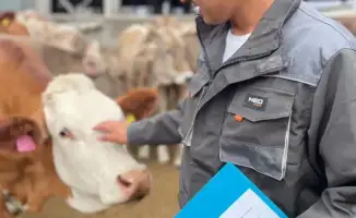 Бауыржан Машанбаев, молодой ветеринар из Жетісу, стал победителем республиканского конкурса "Еңбек жолы", отмечая успехи в повышении продуктивности молока на ферме.