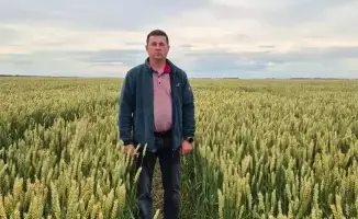 Технологический парус: как "СК Агро 2050" находит ветер перемен в агробизнесе