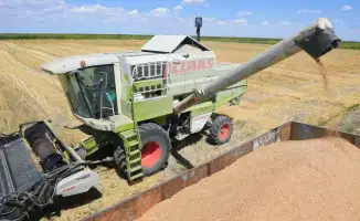 Казахстан увеличил экспорт зерна нового урожая до 1,6 млн тонн