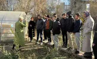 Деревья в школе: как «Зелёный уголок» меняет мир