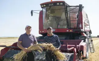 Сельчане в 2024: 271 проект на 2,5 млрд!