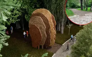 Благоустройство Рощи Баума в Алматы: создание нового эколандшафта и его влияние на городской отдых