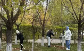 Глобальная экологическая акция: общегородской субботник в Астане