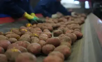 Прогноз международной торговли и потребления лука репчатого и картофеля в Казахстане на 2025 год