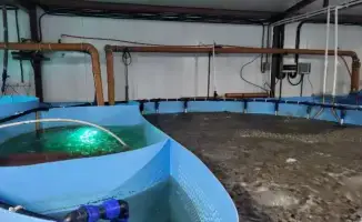 «Костанайский осетр»: удваиваем мощность, удваиваем качество!