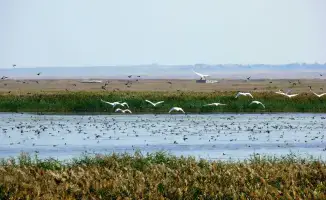 Туризм Костанайской области: новые горизонты