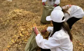 Экологические мероприятия в Шымкенте: вклад жителей и школьников в формирование устойчивой экологической культуры