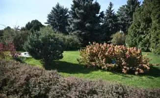 Дархан Сатыбалды: Вдохновение природы в благоустройстве Алматы