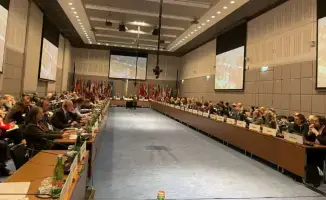 В Вене завершилась встреча ОБСЕ по снижению риска бедствий с акцентом на международное сотрудничество