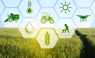 Казахстан: аграрный компас определил новые горизонты сельского хозяйства