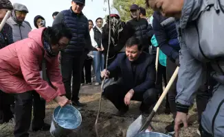 В Актюбинской области высажено около 7300 деревьев в рамках акции «Таза Казахстан»